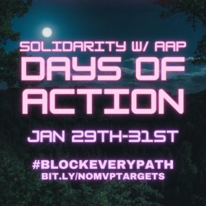 AAP solidarity days of action