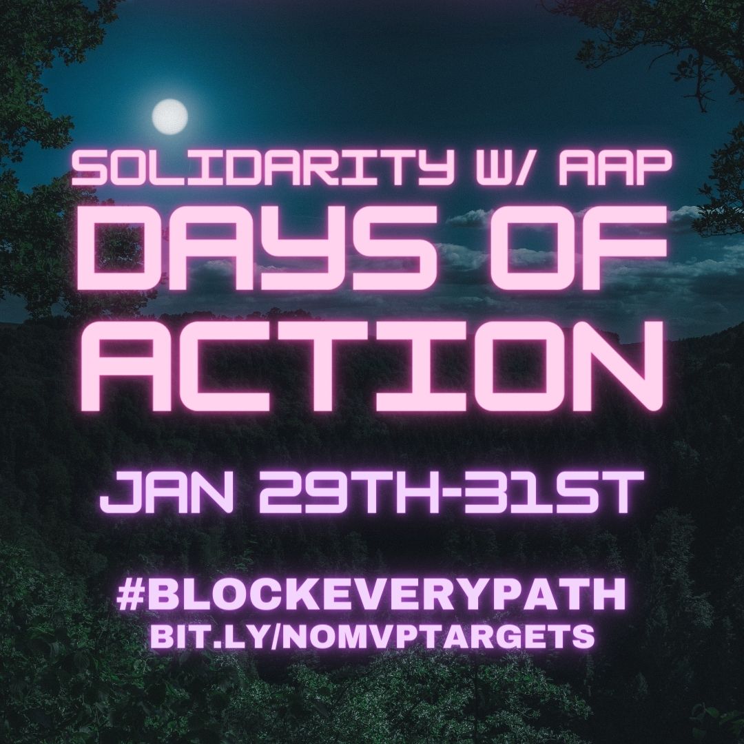 AAP solidarity days of action