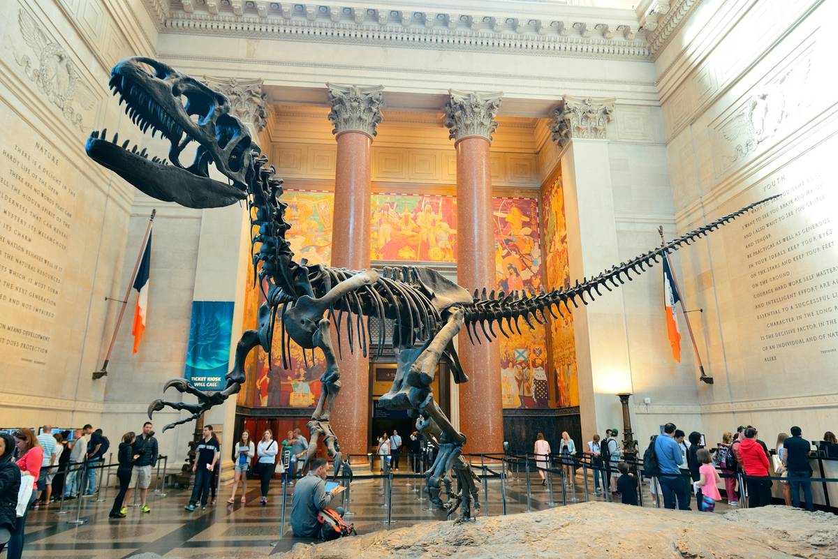 The lobby at AMNH - another place the Mercer family doesn't belong