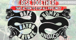 Rise Together to stop all pipelines!