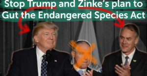 Trump, Pruitt (now fired) and Zinke