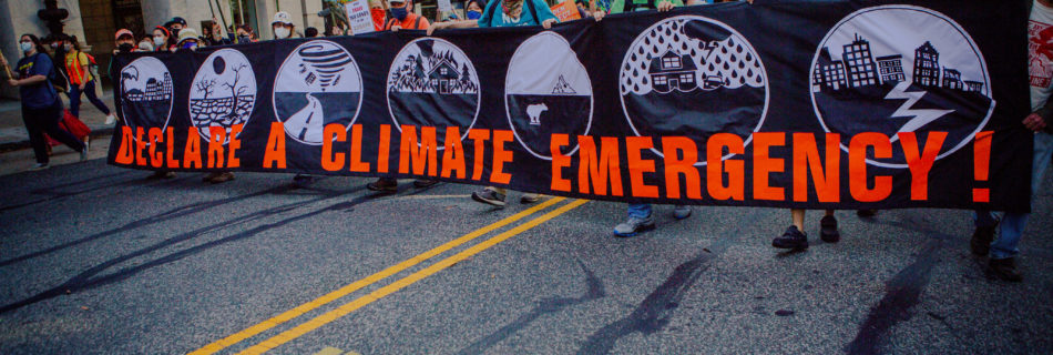 Climate emergency banner