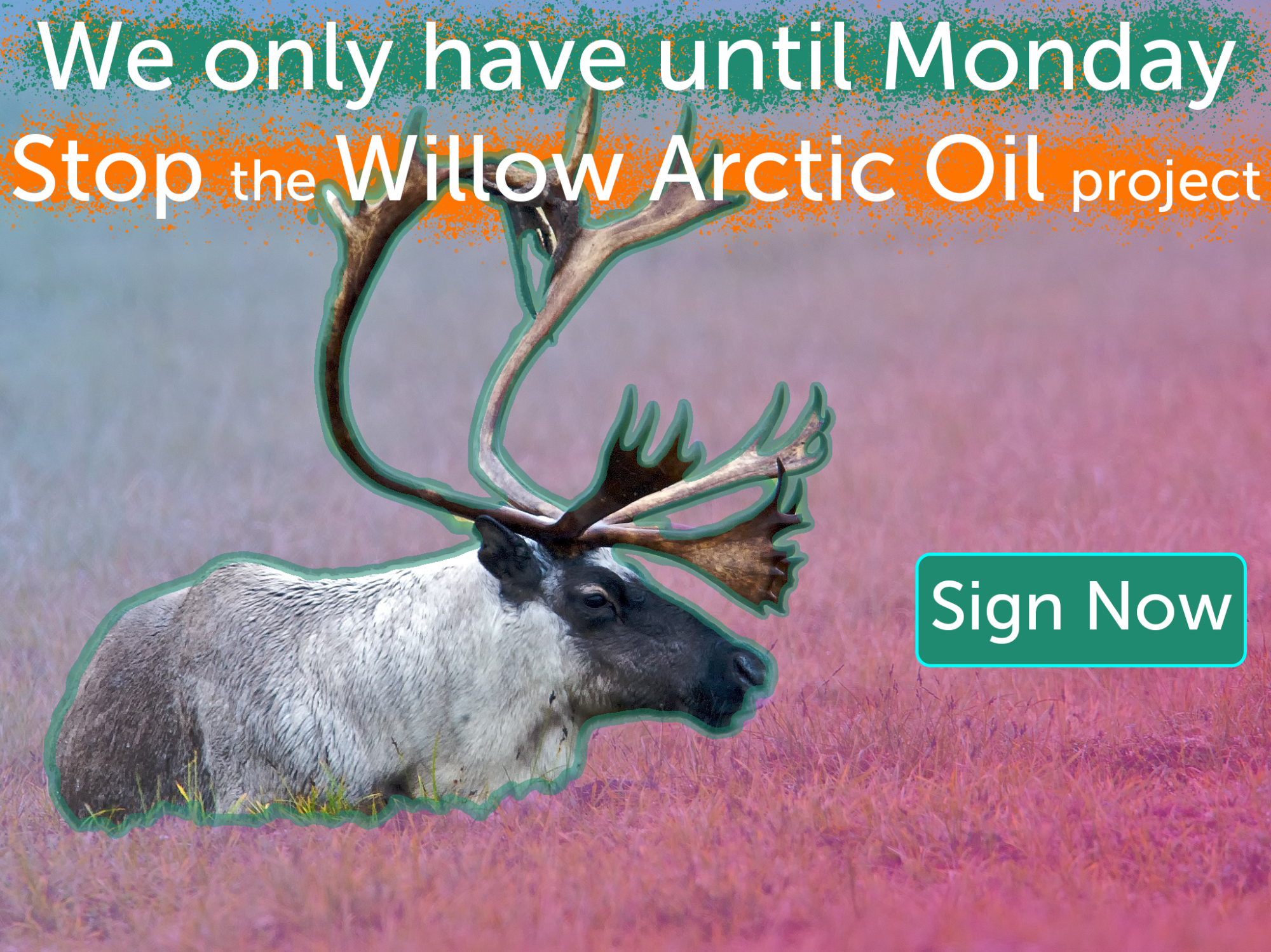 Stop Willow, save the Arcti