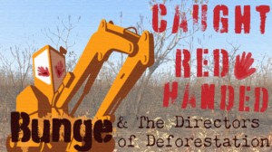 Caught Red Handed Bunge and the Directors of deforestation