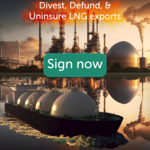 Divest defund, and uninsure Rio Grande LNG and all climate chaos