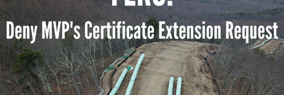 FERC :Deny MVPs extension request