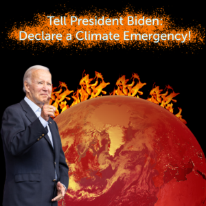 Tell President Biden to declare a climate emergency