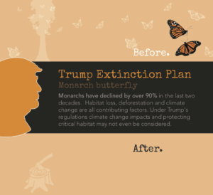 Save Monarchs and the Endangered Species Act