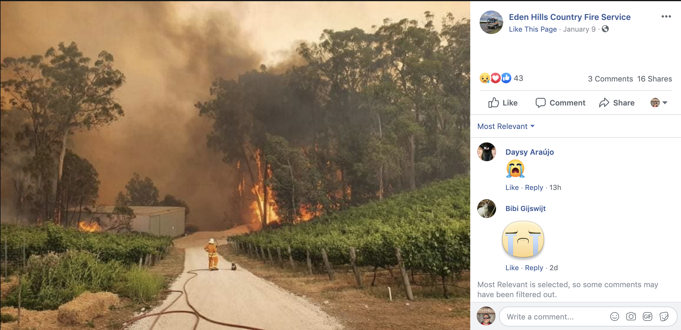 Firefighter and Koala in Australia