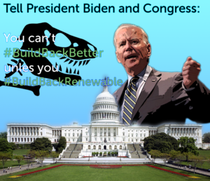 Biden and Congress #BuildBackRenewable