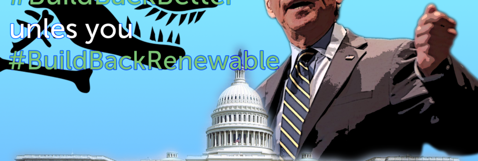 Biden and Congress #BuildBackRenewable